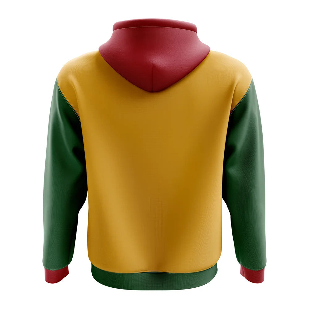Lithuania Concept Country Football Hoody (Yellow)_1