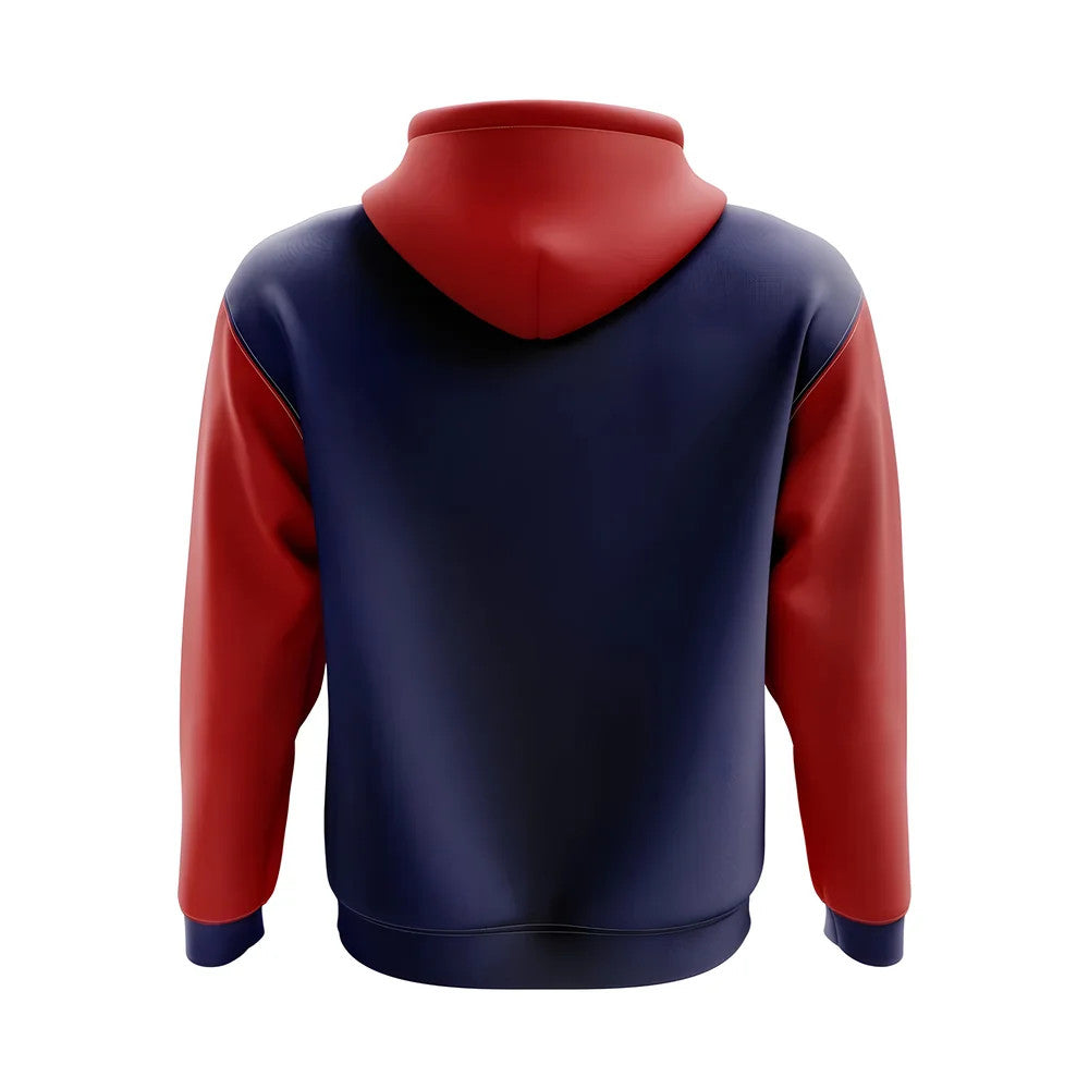 Taiwan Concept Country Football Hoody (Navy)_1