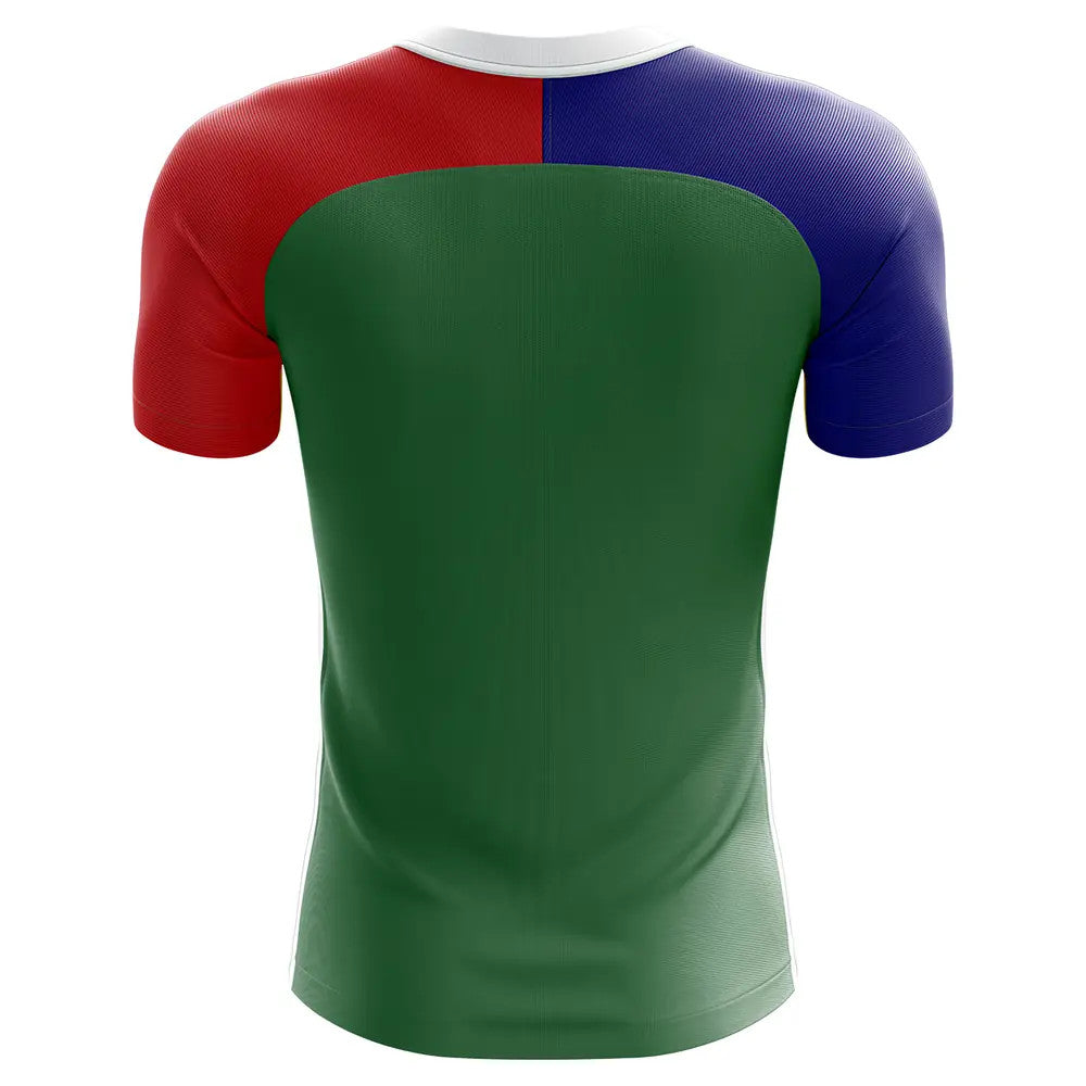 2025-2026 South Africa Home Concept Football Shirt - Kids (Long Sleeve)_1