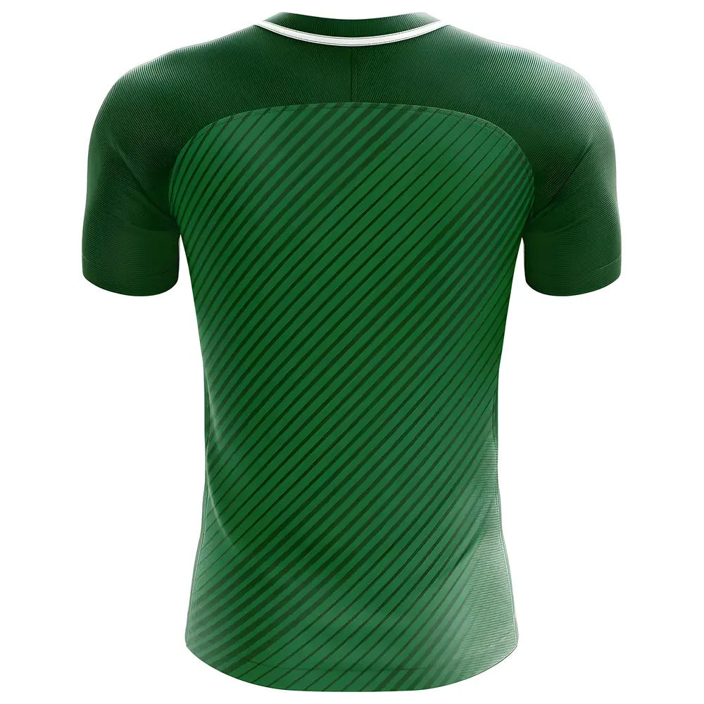 2018-2019 Werder Bremen Fans Culture Home Concept Shirt_1