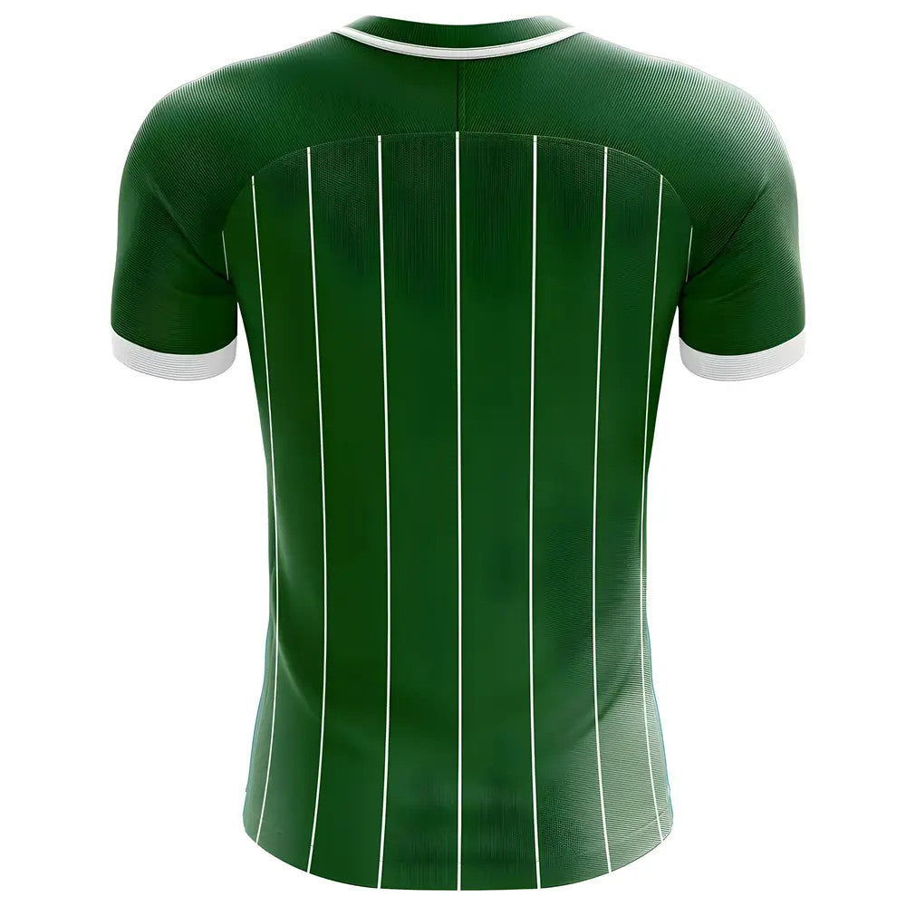 2025-2026 Northern Ireland Home Concept Football Shirt - Little Boys_1