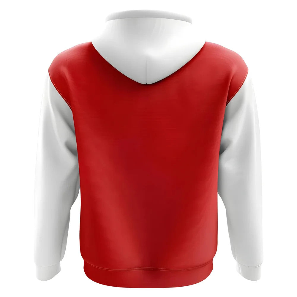 Sheffield United Concept Club Football Hoody (Red)_1