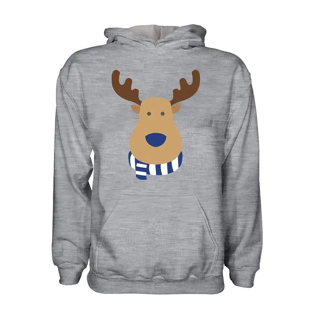 Birmingham City Rudolph Supporters Hoody (grey) - Kids_1