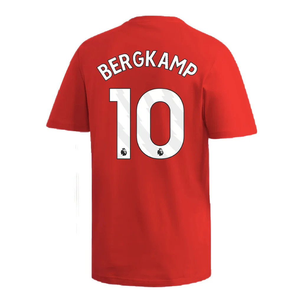 2024-2025 Arsenal DNA Graphic Tee (Red) (Bergkamp 10)_2