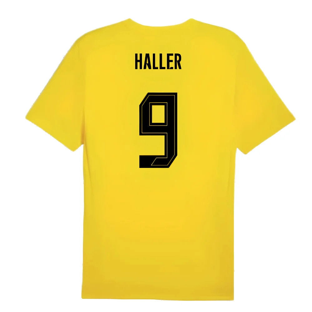 2024-2025 Borussia Dortmund Training Shirt (Yellow) (Haller 9)_2