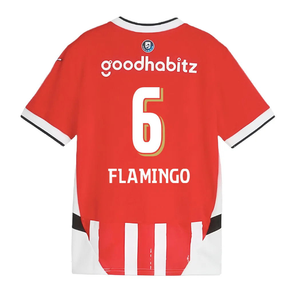2024-2025 PSV Eindhoven Home Shirt (Kids) (Flamingo 6)_2