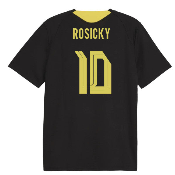 2026-2027 Borussia Dortmund Training Jersey (Black) (Rosicky 10)_0