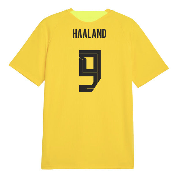 2026-2027 Borussia Dortmund Training Jersey (Yellow) (Haaland 9)_0