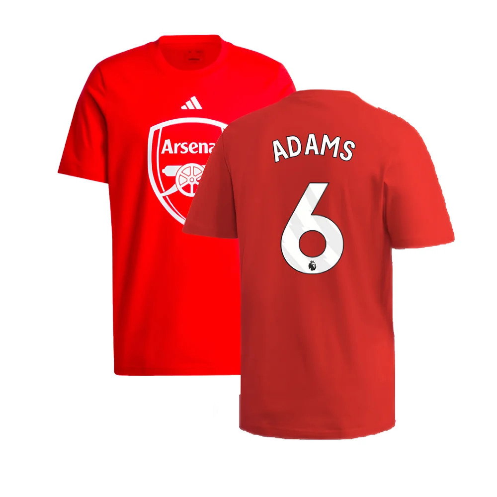 2024-2025 Arsenal DNA Graphic Tee (Red) (Adams 6)_0