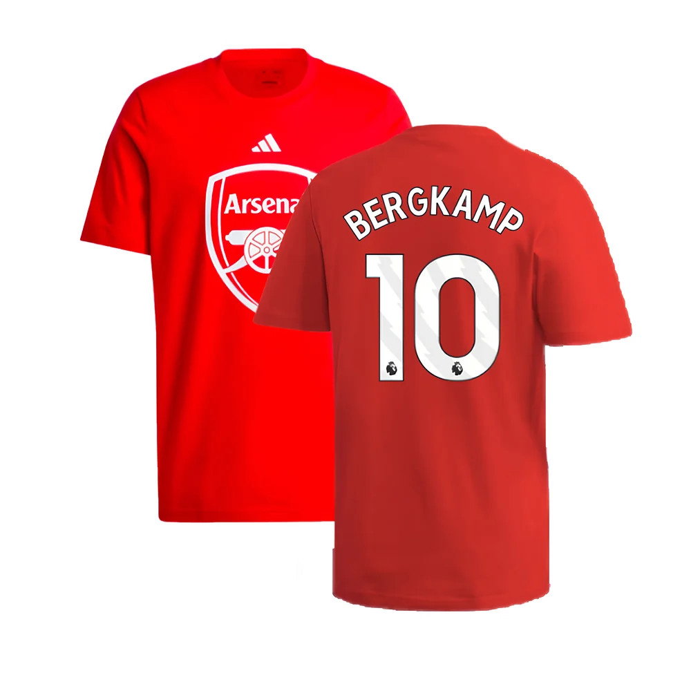 2024-2025 Arsenal DNA Graphic Tee (Red) (Bergkamp 10)_0