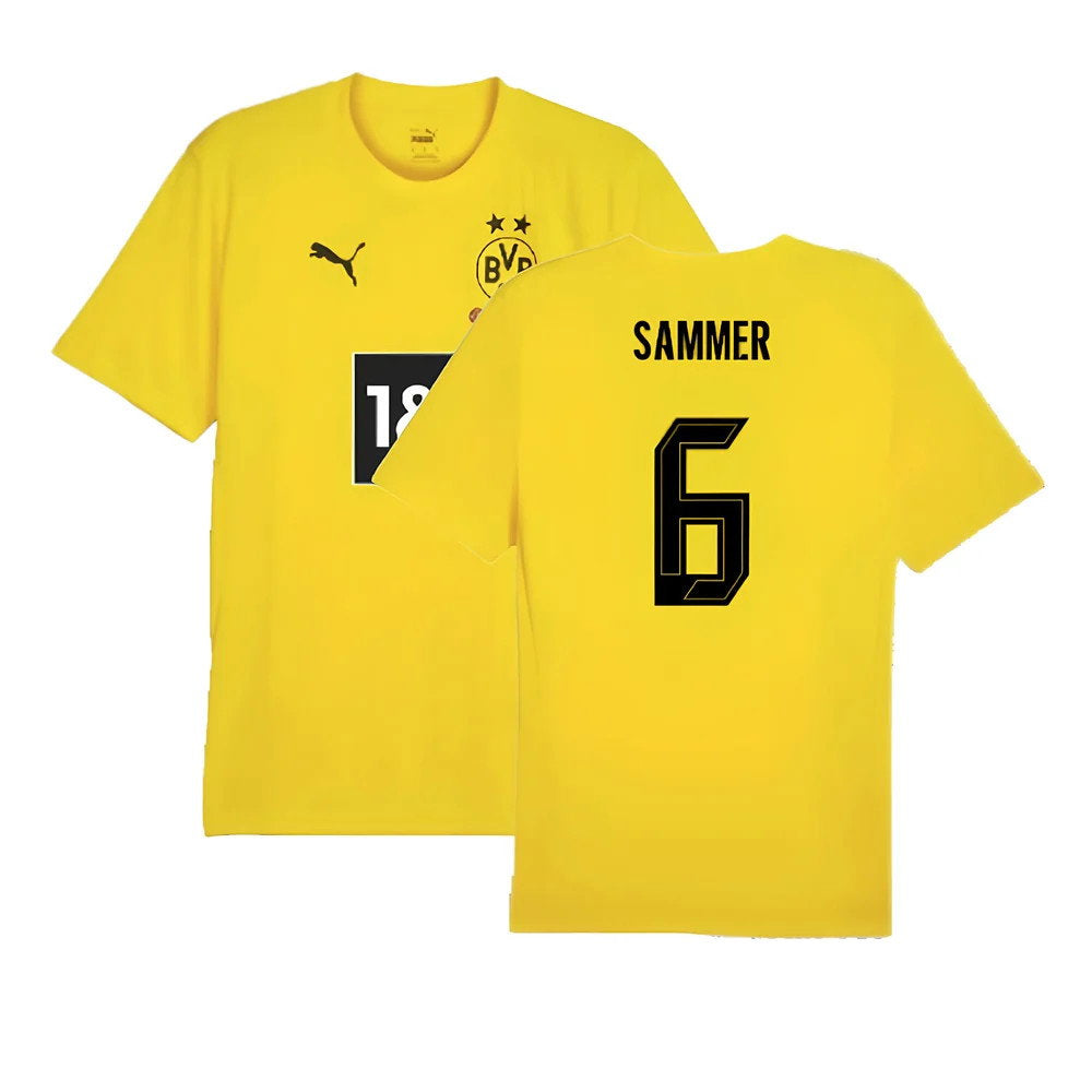 2024-2025 Borussia Dortmund Training Shirt (Yellow) (Sammer 6)_0