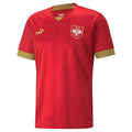 2022-2023 Serbia Home Shirt_0