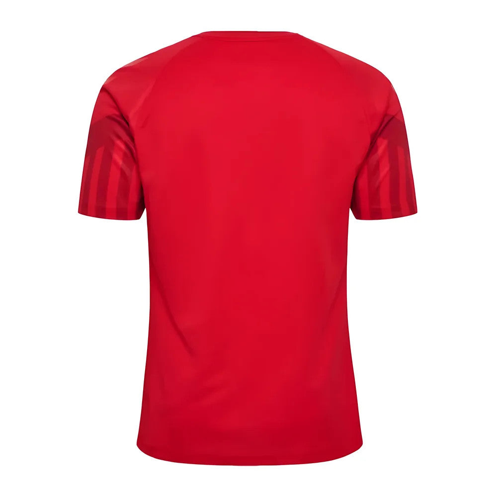 2022-2023 Denmark Home Jersey (Eriksen 10)_1