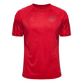 2022-2023 Denmark Home Jersey_0