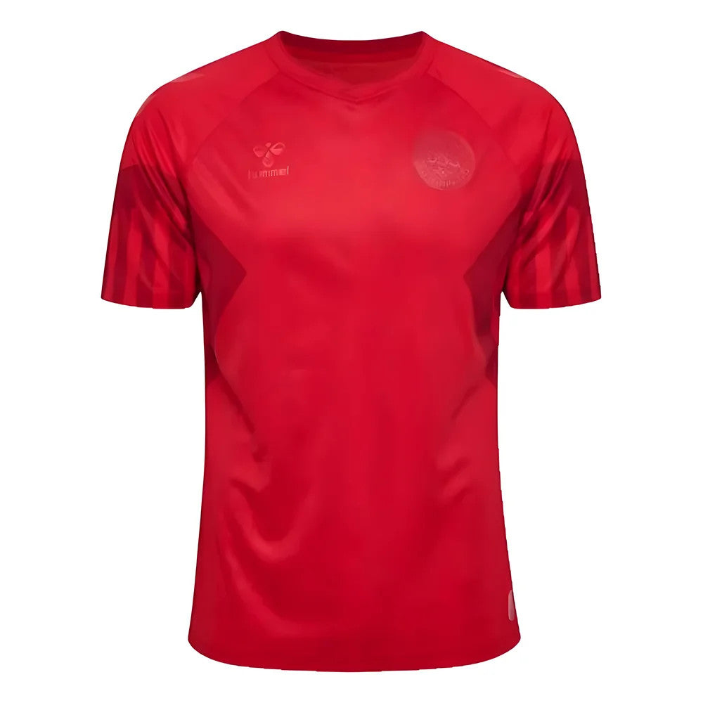 2022-2023 Denmark Home Jersey_0