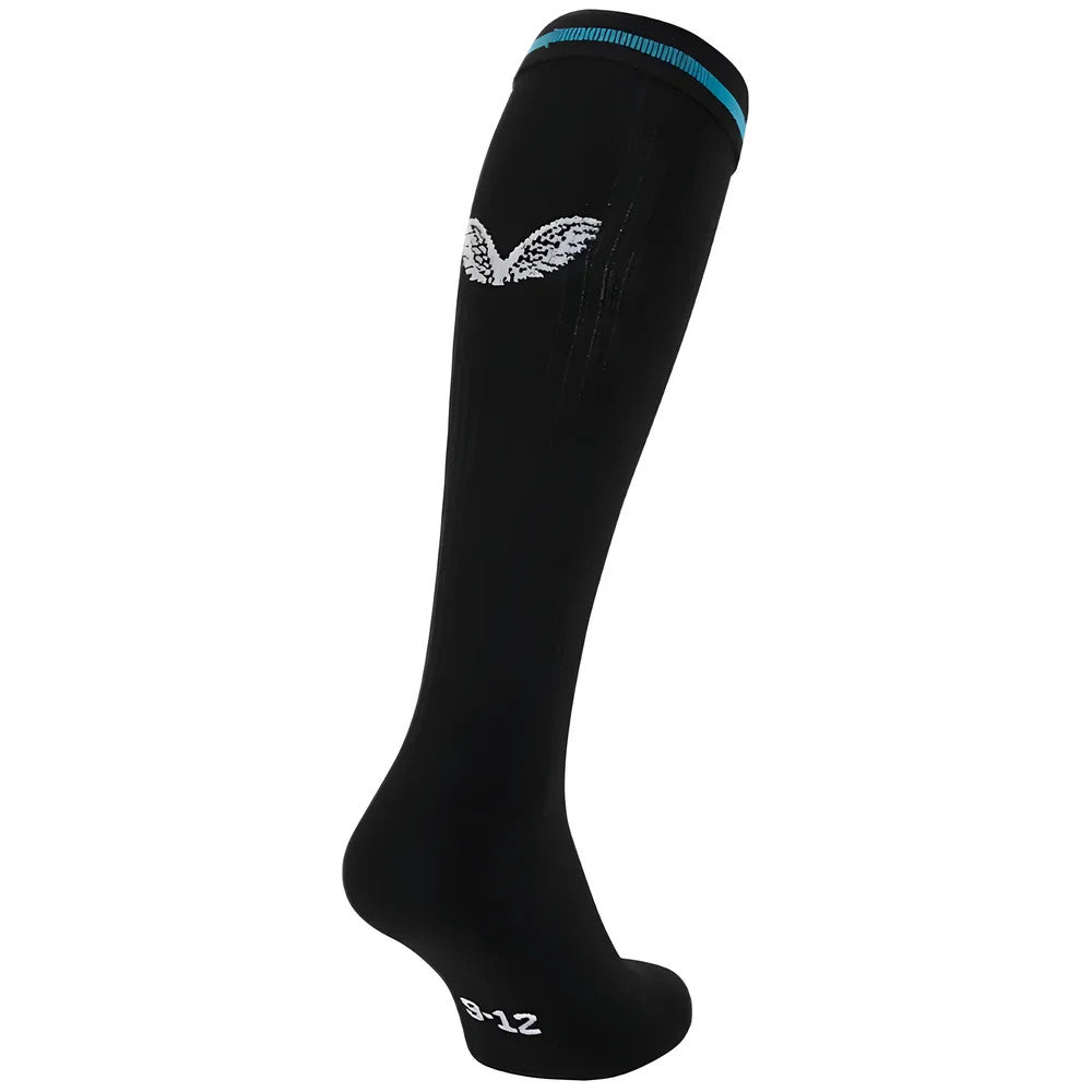 2023-2024 Newcastle United Home Socks (Black)_1