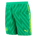 2023-2024 Man City Home Goalkeeper Shorts (Green)_0