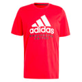 2023-2024 Man Utd DNA Graphic Tee (Red)_0