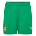 2023-2024 Republic of Ireland Away Shorts (Green)_0