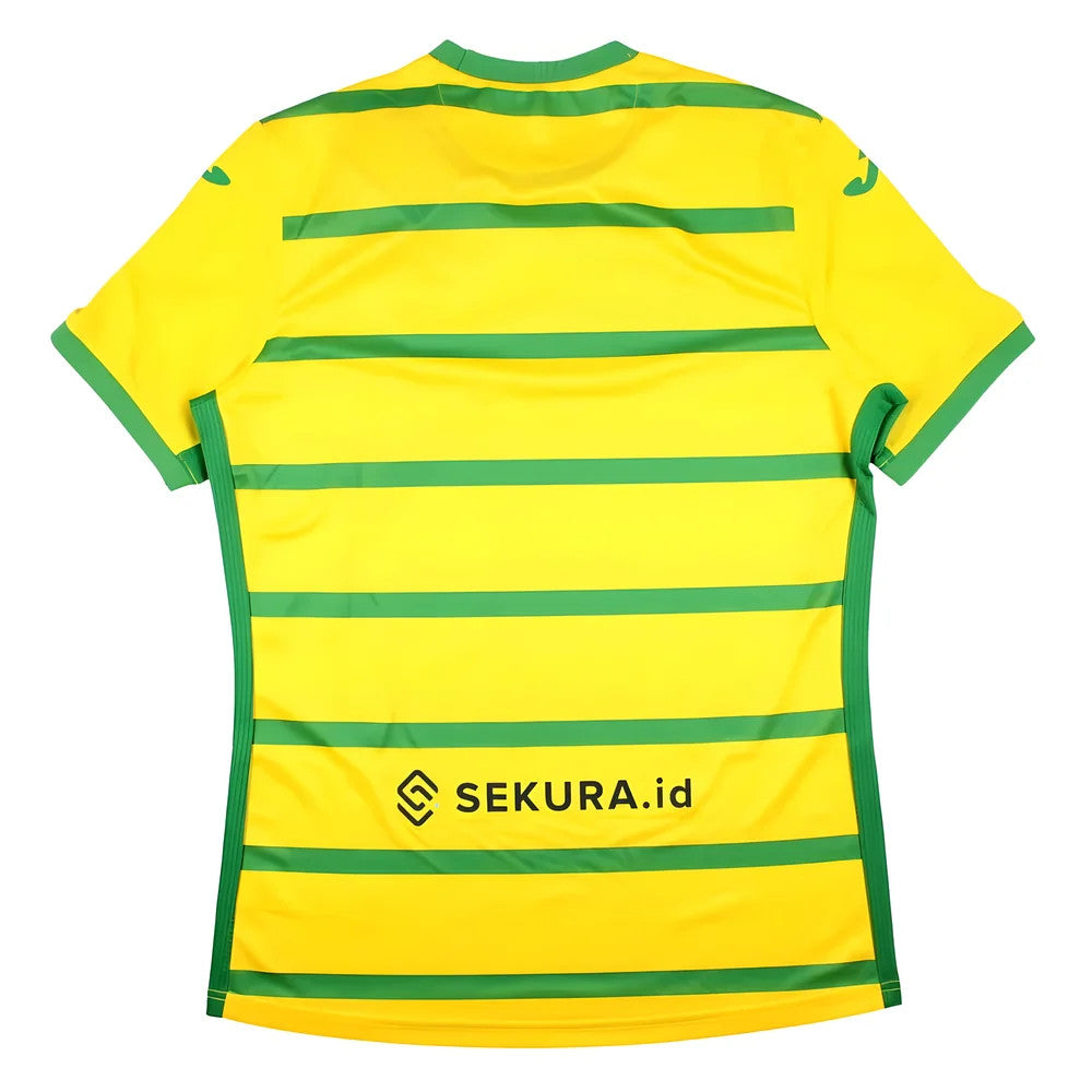 2023-2024 Norwich City Home Shirt (Pukki 22)_1
