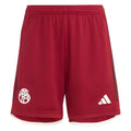 2023-2024 Bayern Munich Third Shorts (Red) - Kids_0