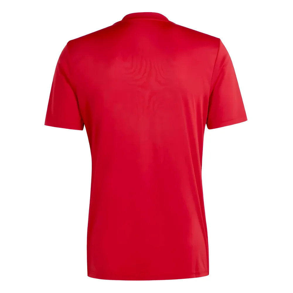 2023-2024 Roma Icon Pre-Match Shirt (Red) (MATIC 8)_4