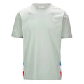 2023 Alpine Mens T-Shirt (Light Grey)_0
