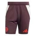 2024-2025 Bayern Munich Training Shorts (Shadow Maroon)_0