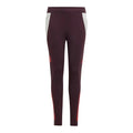 2024-2025 Bayern Munich Training Pants (Shadow Maroon) - Kids_0