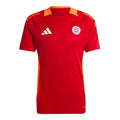 2024-2025 Bayern Munich Training Shirt (Red)_0