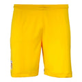 2024-2025 Romania Home Shorts (Yellow)_0