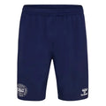 2024-2025 Denmark Training Shorts (Marine)_0