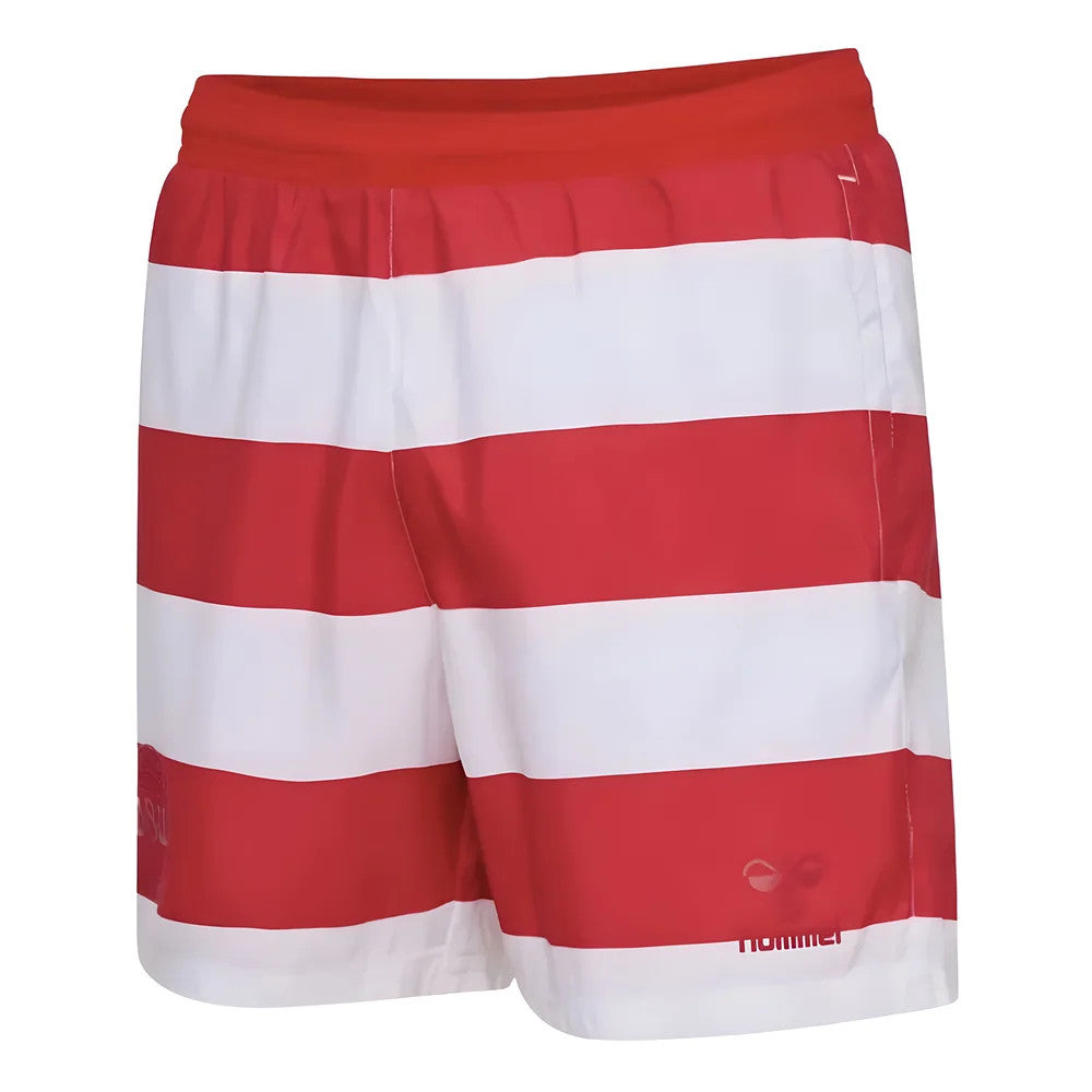 2024-2025 Denmark Pattern Swim Shorts (Red)_0