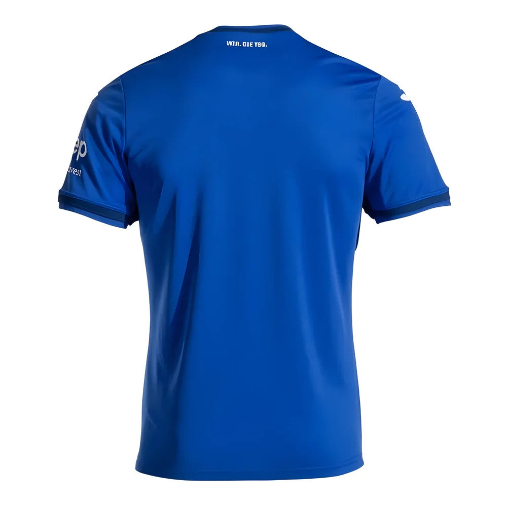 2024-2025 Hoffenheim Home Shirt_1