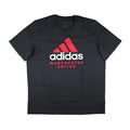 2024-2025 Man Utd Seasonal Graphic Tee (Night Grey)_0