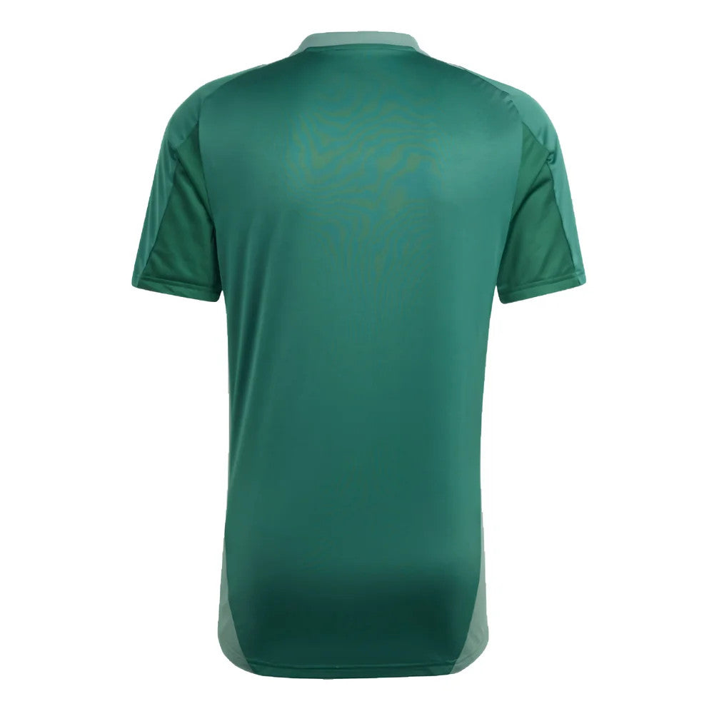 2024-2025 Algeria Training Jersey (Green)_1