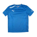 Puma Training Tee (Blue)_0