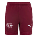 2024-2025 Red Bull Leipzig Training Shorts (Dark Jasper)_0