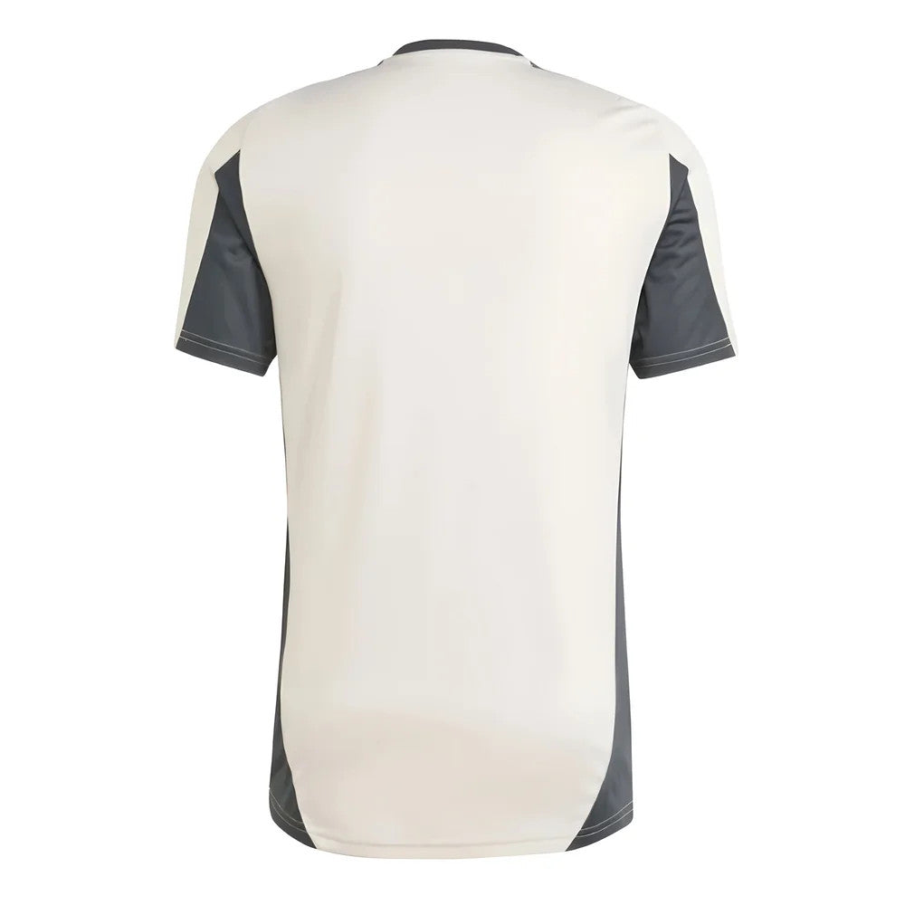 2024-2025 Real Madrid EU Training Jersey (Putty Mauve)_1