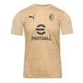 2024-2025 AC Milan Pre-Match Shirt (Putty)_0