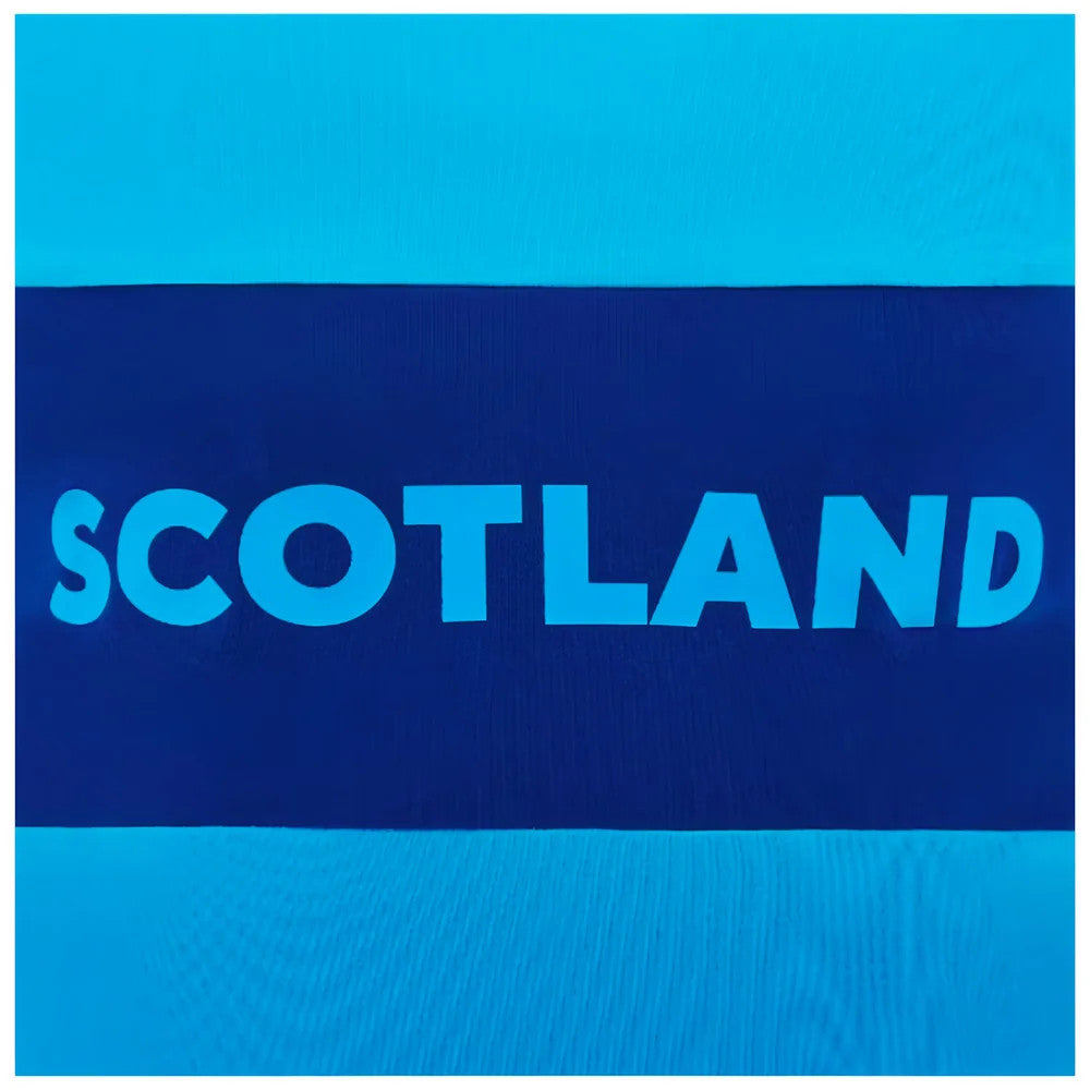 2024-2025 Scotland Rugby Leisure Cotton T-Shirt (Sky Blue) - Kids_1