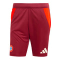 2024-2025 Bayern Munich EU Training Shorts (Shadow Red)_0