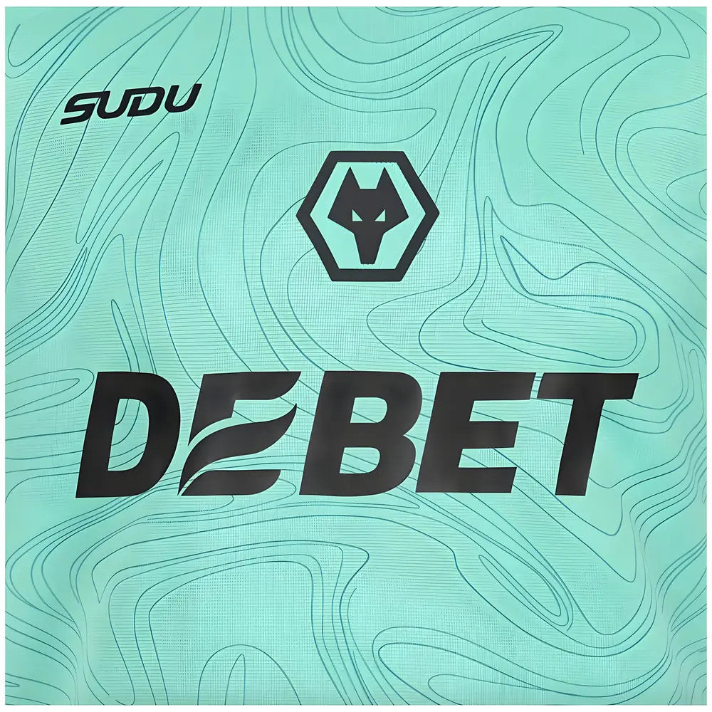2024-2025 Wolves Goalkeeper Shirt - Eclipse_1