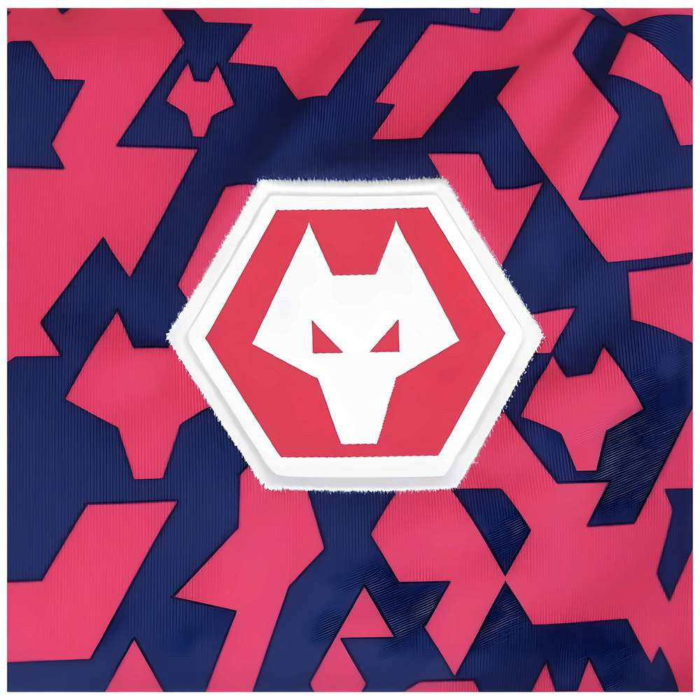 2024-2025 Wolves Pre Match T-Shirt - Blue/Pink_1