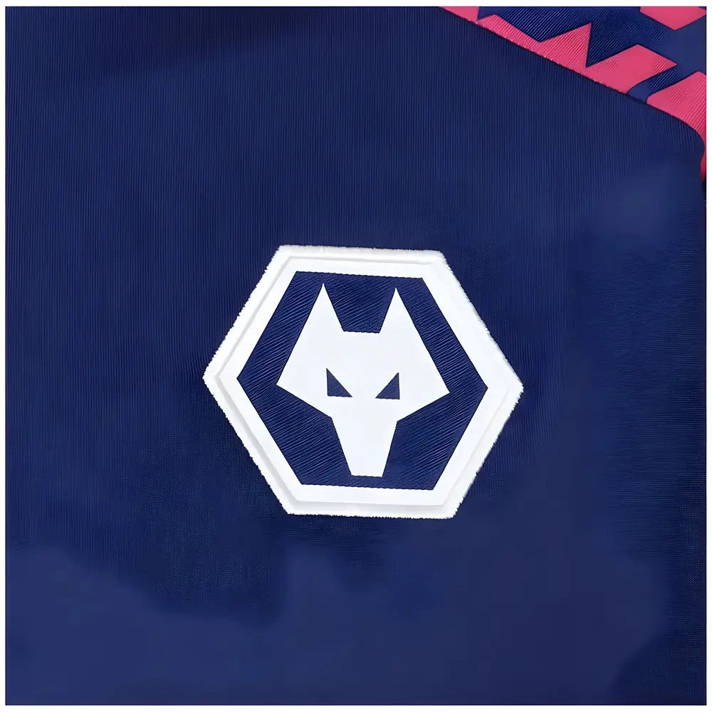 2024-2025 Wolves Pre Match 1/4 Zip Top (Blue/Pink)_1