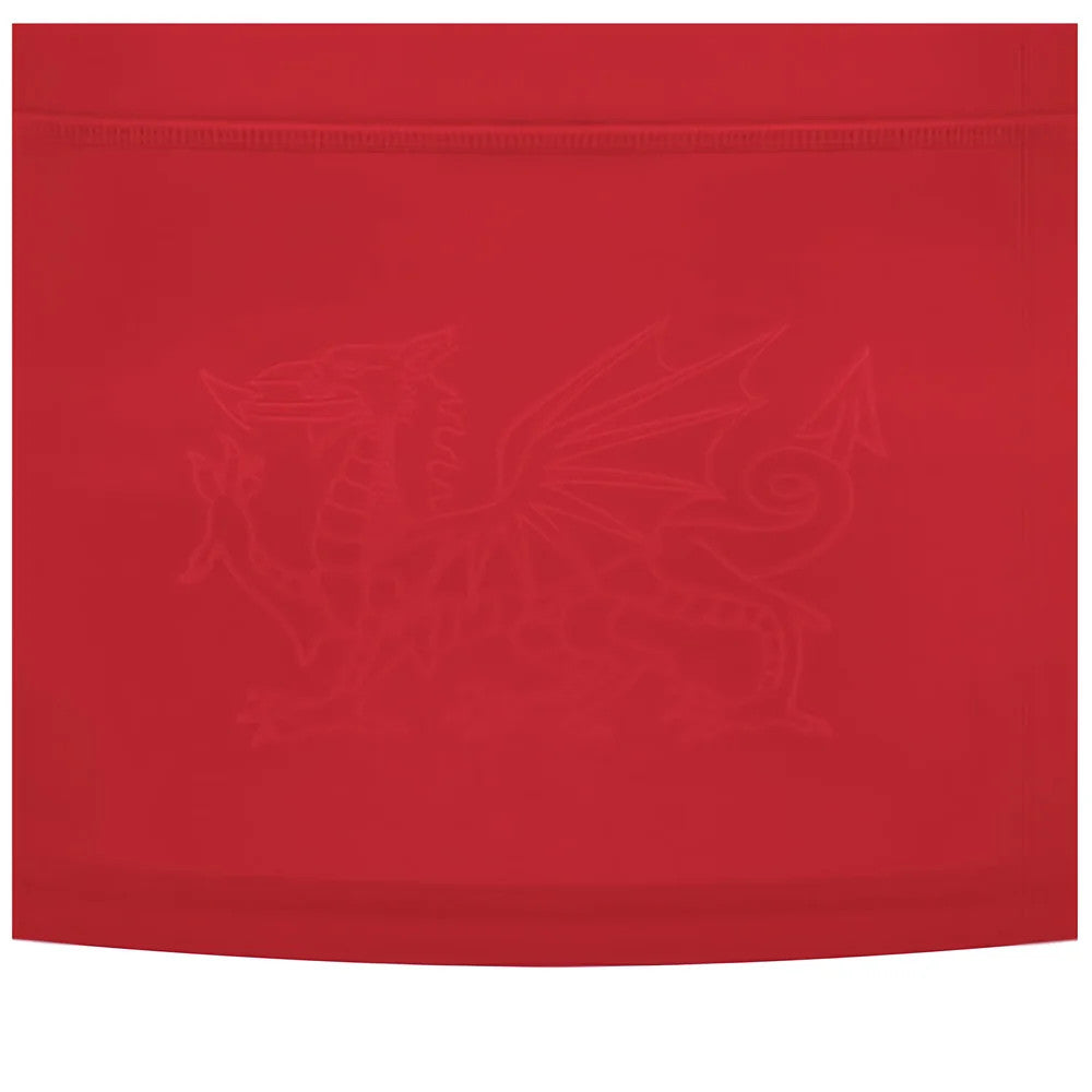 2024-2025 Wales WRU Home Replica Rugby Shirt (Womens)_2