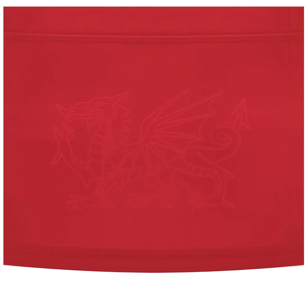 2024-2025 Wales WRU Home Replica Rugby Shirt (Womens) (Tipuric 7)_5