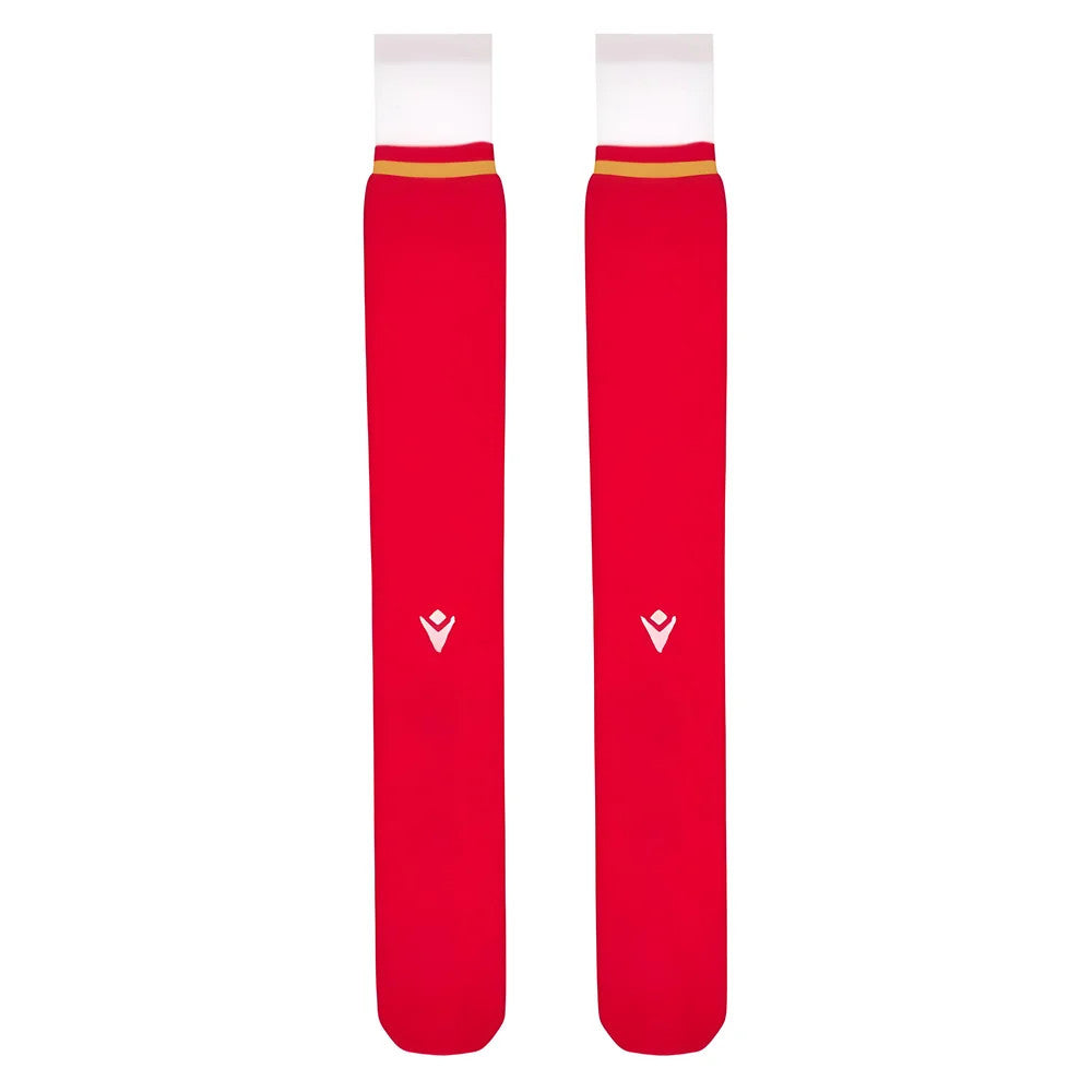 2024-2025 Wales Rugby Home Socks (Kids)_1