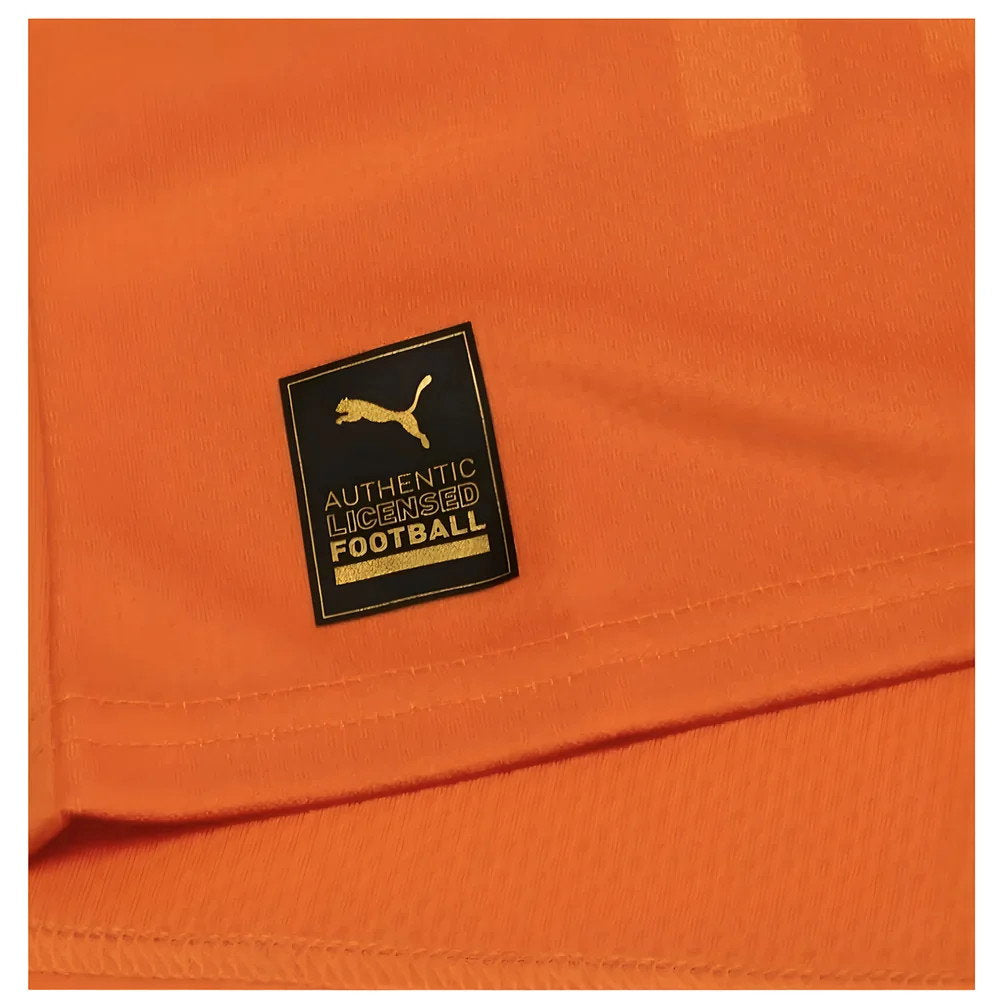 2023 Ivory Coast Home AFCON Winner Shirt (Drogba 11)_6