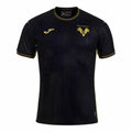 2024-2025 Hellas Verona Third Shirt_0